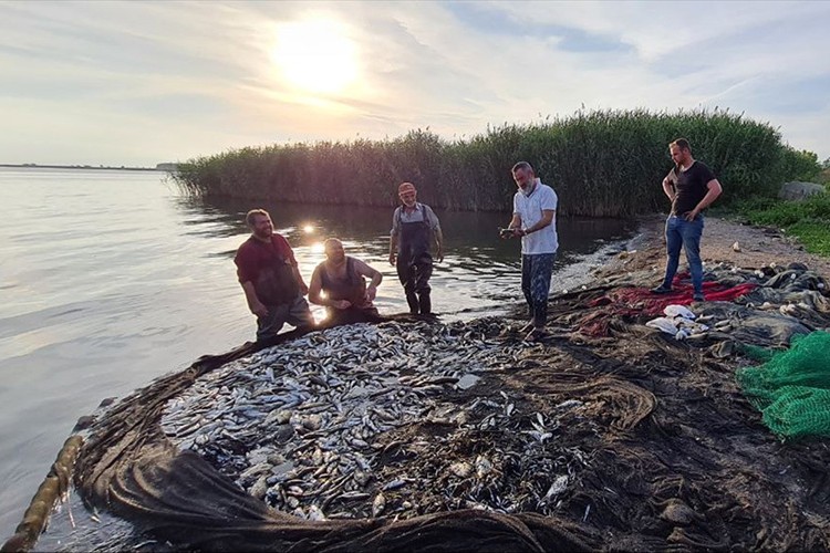 İznik Gölü'nde av sezonu balık bolluğuyla başladı