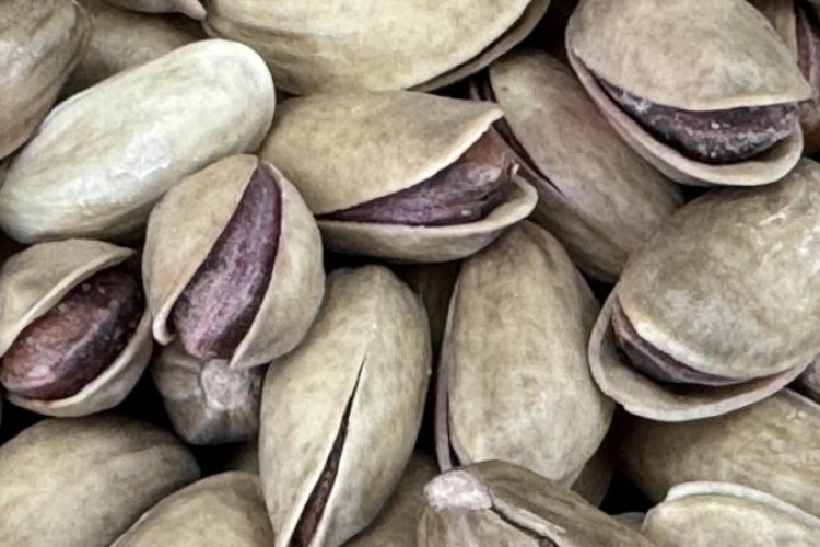 Türkiye'den 73,8 milyon dolarlık fıstık ihracatı