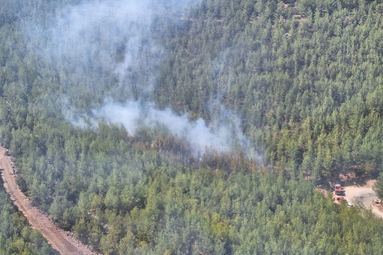 Mersin'de ormanlık alanda yangın çıktı