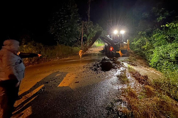 Düzce'deki sağanak kırsalda derelerin taşmasına neden oldu