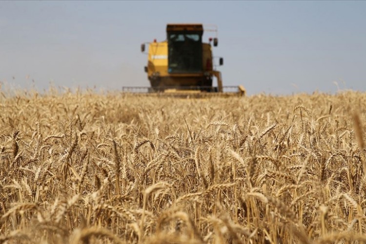 Çiftçilerin hesabına destekleme ödemesi olarak 119,1 milyon lira aktarıldı