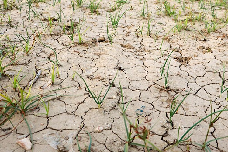 Kuraklık acil durum düzeyinde