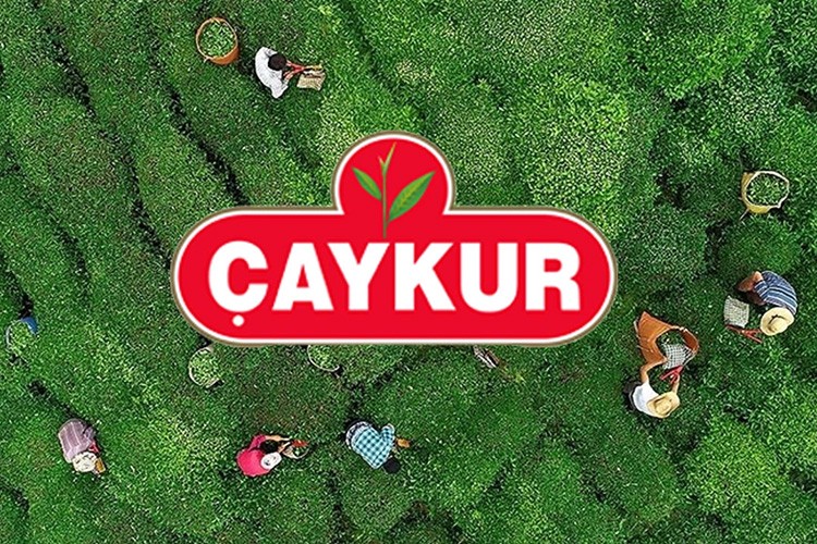 ÇAYKUR, randevulu yaş çay alım sistemine geçiyor