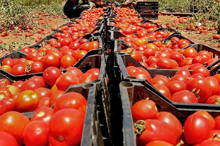 Kota kalkıyor mu?..