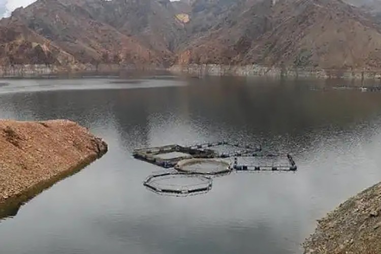 Yüzde 90'ını ihraç ediyorlar