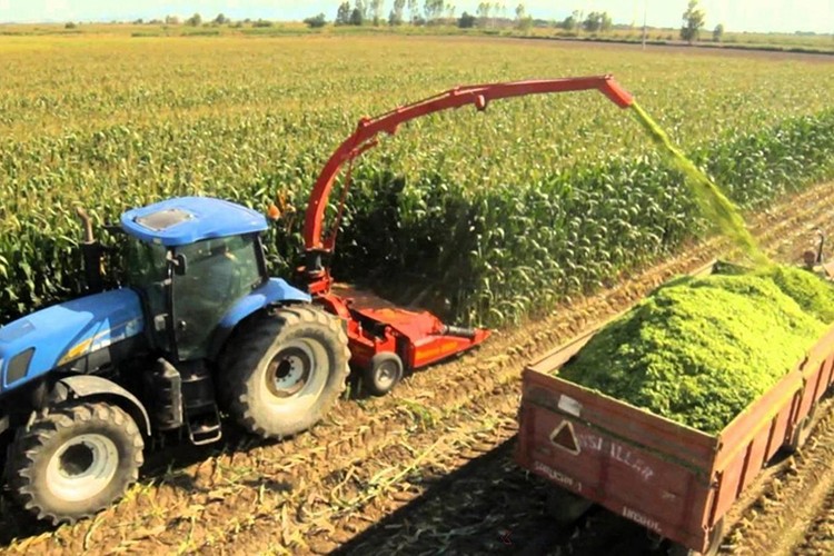 Tarımsal girdi fiyat endeksi martta arttı