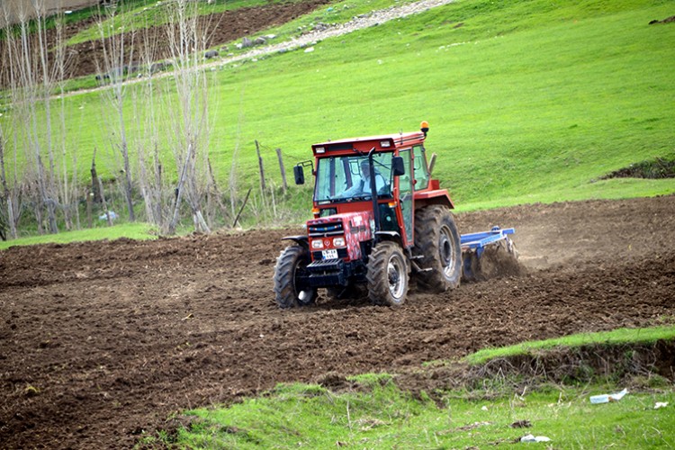 Muş'ta bu yıl şeker pancarı üretiminde "rekor" hedefleniyor