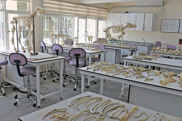 Veteriner laboratuvarlarına ilişkin esaslar düzenlendi