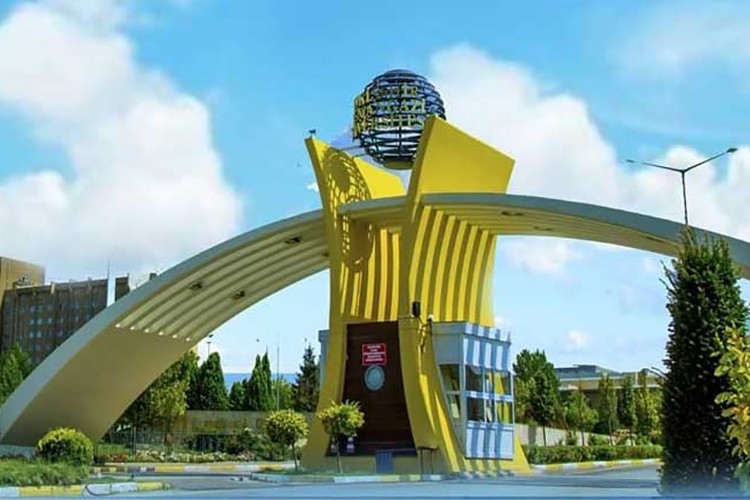 Akademisyen alınacak