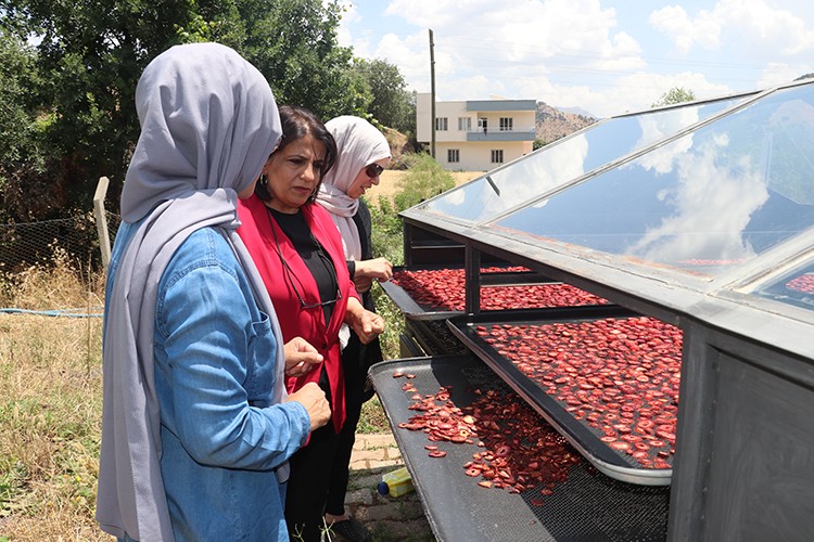 Batmanlı kadınlar, Sason çileğiyle ürettikleri lokumu tescil ettirmek istiyor