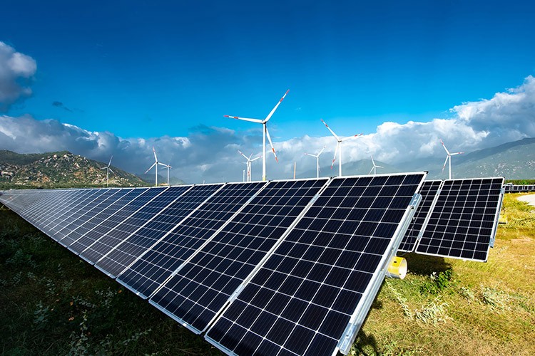 YEO, ilk çeyrekte karını yüzde 290 artırdı!