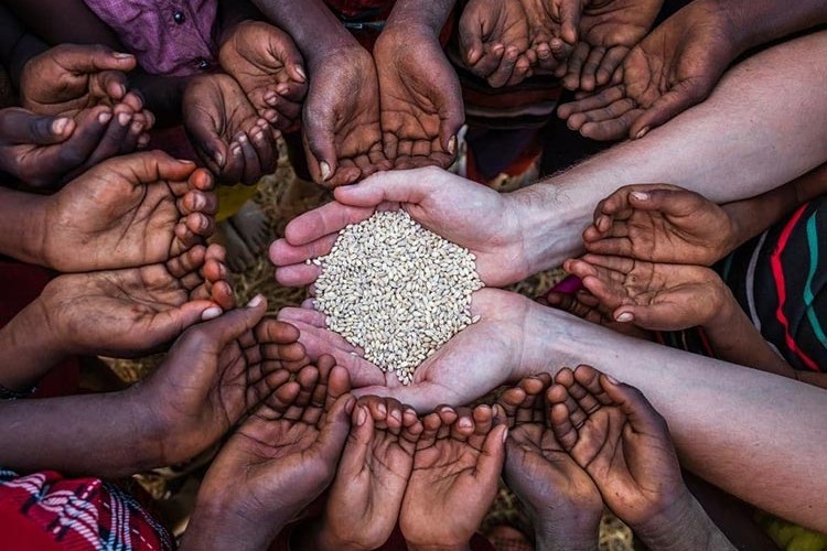 Dünyada gıda fiyatları ağustosta düştü
