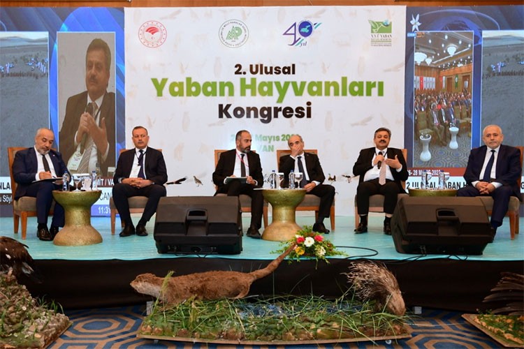 3. Ulusal Yaban Hayvanları Kongresi için geri sayım başladı