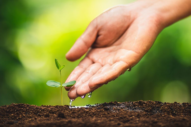 2030'a kadar karbon emisyonlarını yüzde 20 azaltacak