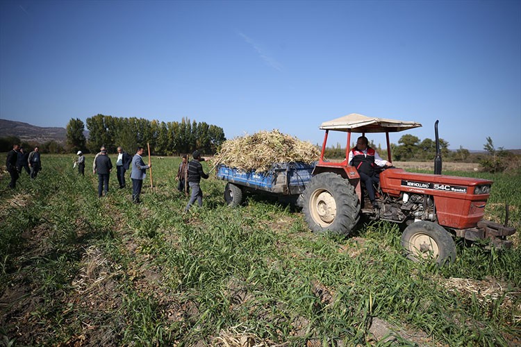 Yeşilhisar kuru fasulyesi markalaşmayı hedefliyor