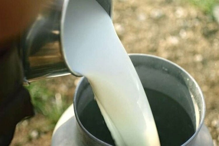 Çiğ süte yüzde 47 zam geldi