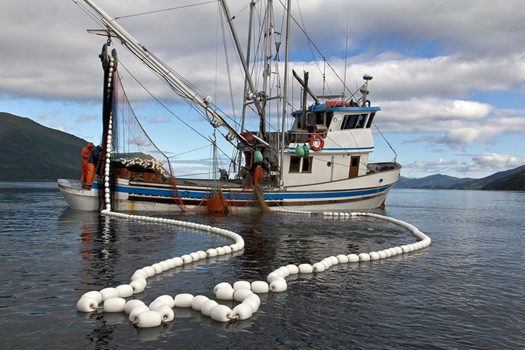 Su ürünleri avcılığında kurallar yeniden düzenlendi