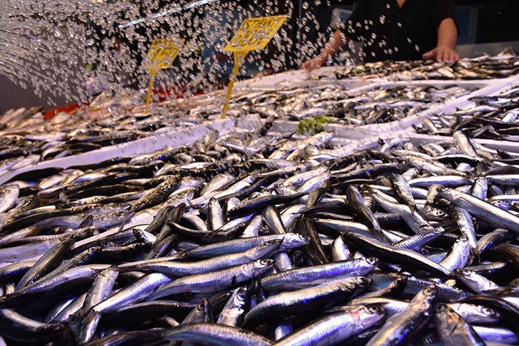 Trabzon'da hamsinin kilogramı 100 liradan satışa sunuldu