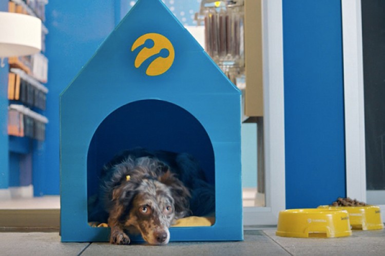 Minik dostlara mağaza