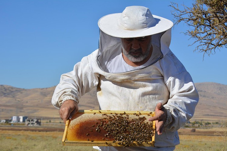 12 milyonluk bal ihracı