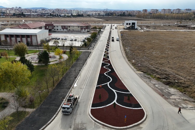 Eskişehir Kuru Peyzaj'a devam ediyor