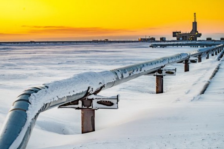 ABD'nin petrol sondaj kulesi sayısı düştü
