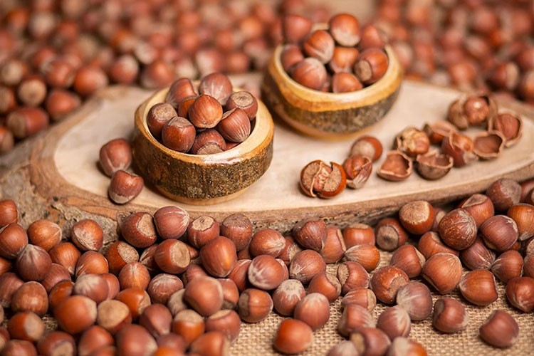 8 ayda 550 bin tonu aşkın fındık işlem gördü