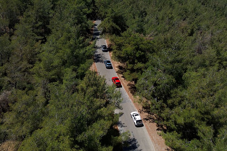 Hyundai, IONIQ Ormanı Projesi ile 1 milyon ağaç dikti
