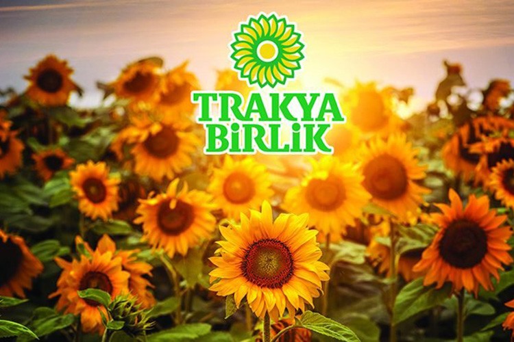 Trakya Birlik ayçiçeği ön alım fiyatını açıkladı