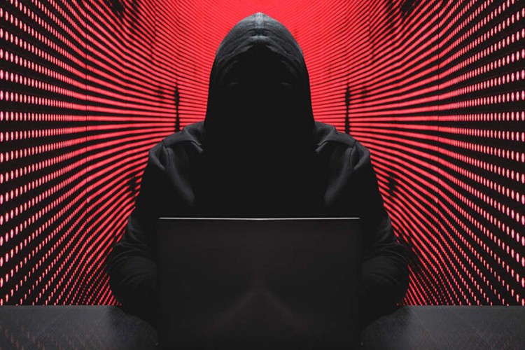 Siber dolandırıcılık vakaları yükselişte