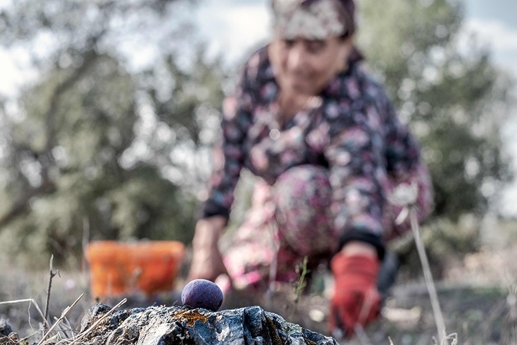 Kuraklığa ve Açlığa Büyük Adım Yasası Genel Kurul'da