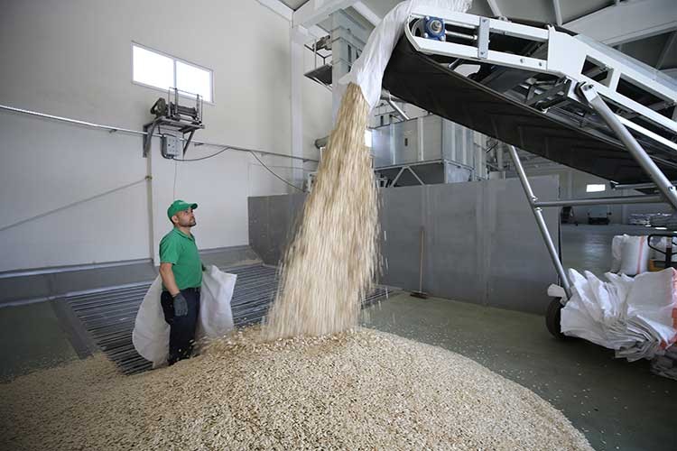 Kabak çekirdeğini kurduğu tesis sayesinde ihraç ediyor