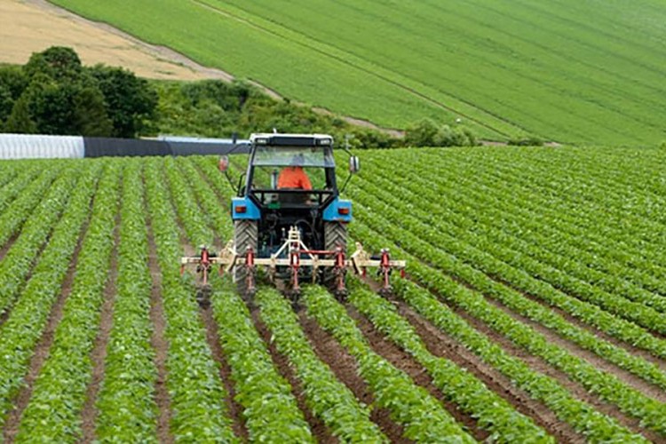 Tarımsal girdi fiyatları yüzde 9.82 arttı