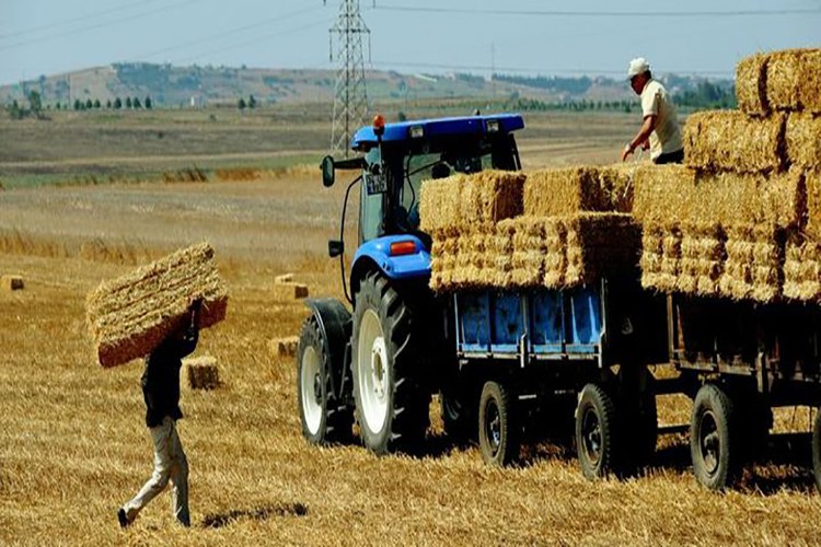 Tarımsal girdi fiyat endeksi yükseldi