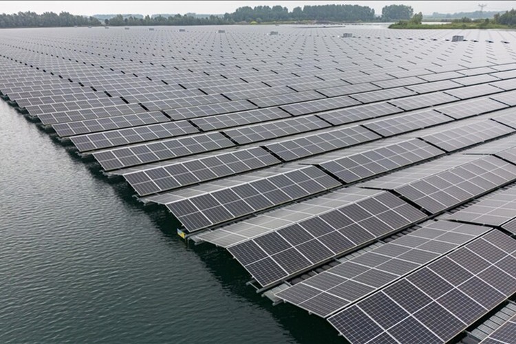 Yüzer GES'ler canlılar için yaşam adası oldu