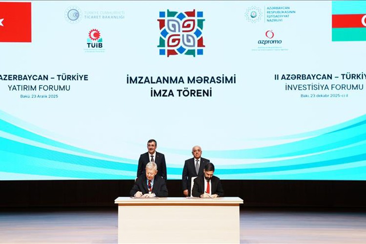 SOCAR Kırıkkale'de 870 MW'lık santrali satın aldı