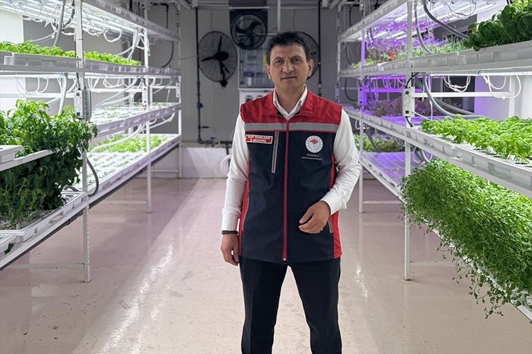 İstanbullu çiftçinin biber fidesi yerli üretimden geliyor