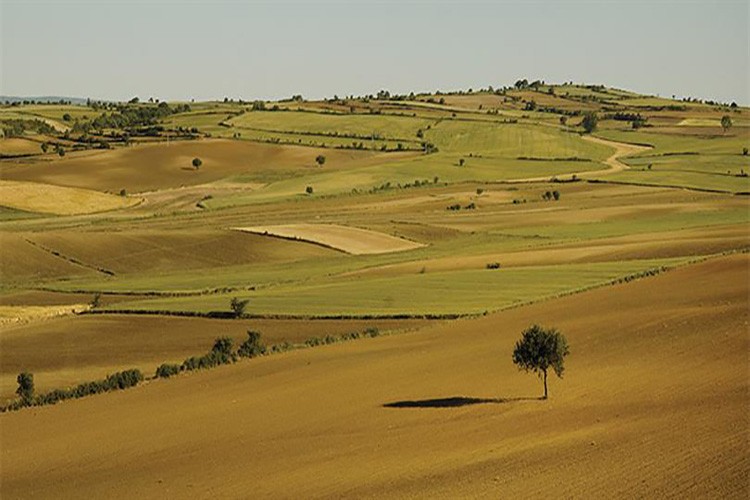 2 yıl üst üste işlenmeyen tarım arazileri kiraya verilecek