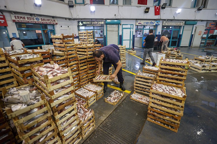 Ege'de balık avı sezonu bereketli başladı