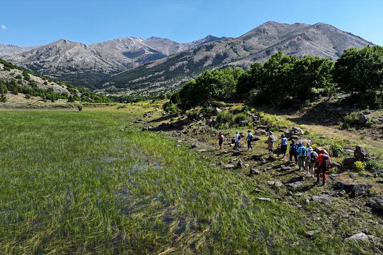 Berçin Yaylası doğaseverlerin yeni gözdesi oldu