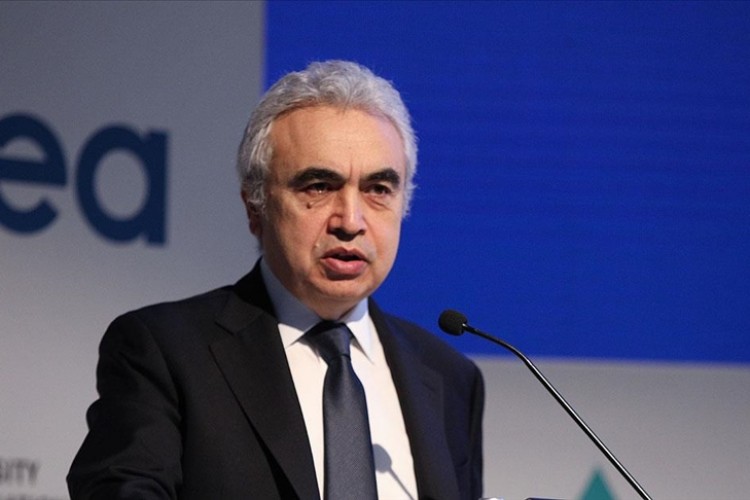 Çin'in "en yüksek uluslararası akademisyen" ödülü verildi