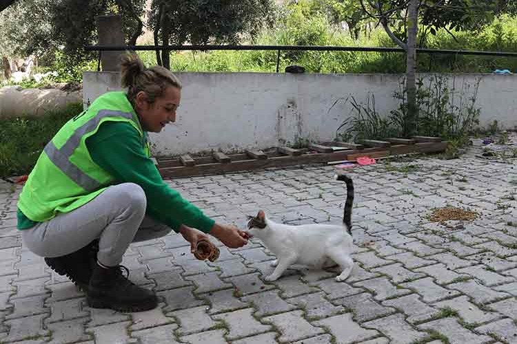 Gönüllü hayvanseverler enkazdan can dostları kurtarıyor