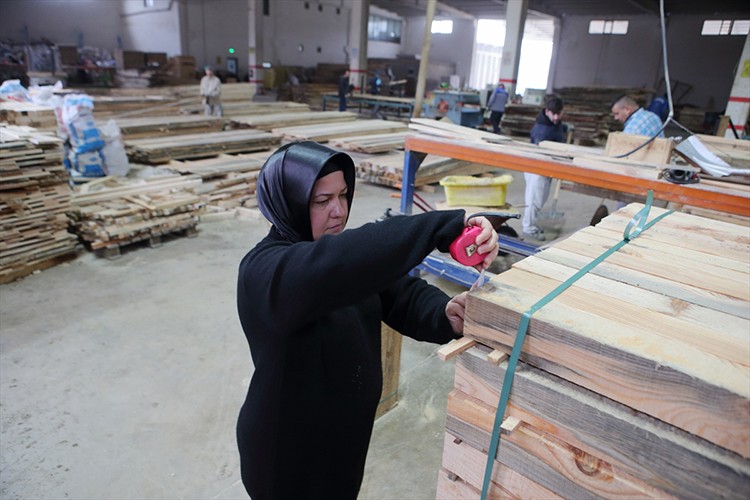 İstanbul'daki tecrübesiyle kereste fabrikası kurdu