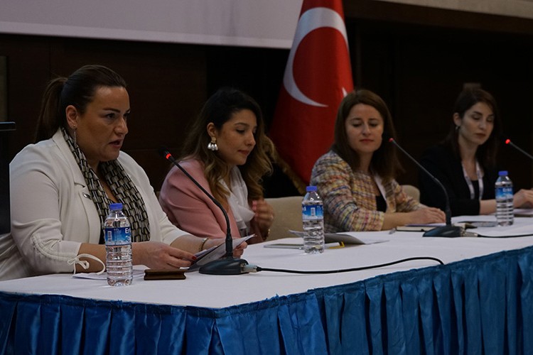 Enerjinin demir leydileri