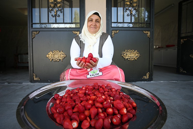 Kadınlar iş başında