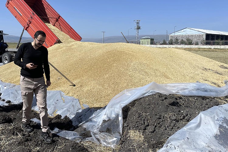 Ardahan'da TMO hububat alımına başladı