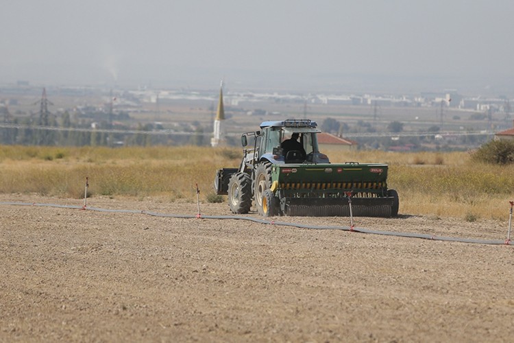 Niğde'de üniversitenin tarıma kazandırılan arazilerinde yem bitkileri yetiştiriliyor