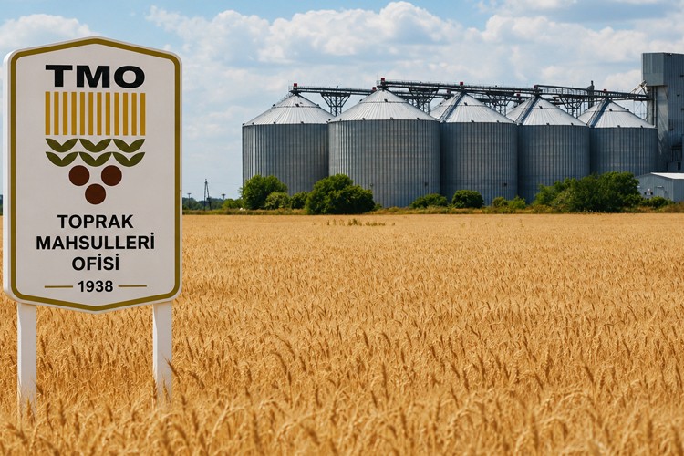 Hububat üreticilerine 120 milyar lira ödeme yapıldı