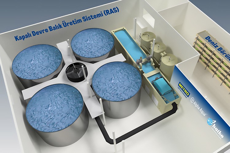 Metro Türkiye'den 'Sudan Doğan Gelecek' Projesi ile Sürdürülebilir Balıkçılıkta Öncü Bir Adım Daha