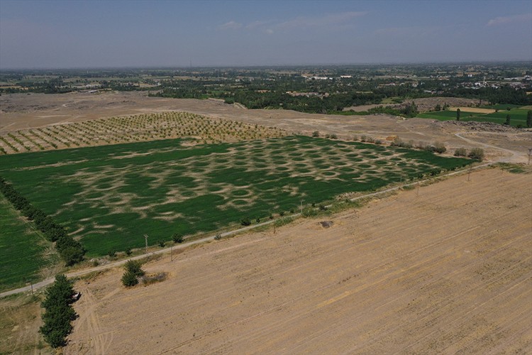 1000 dönümlük taşlık alanı 8 yılda tarım arazisine dönüştürdü